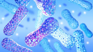 Balance Microbiome